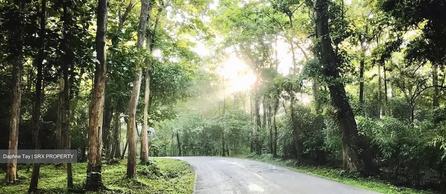 Mount Rosie Road (D11), Detached #529560891